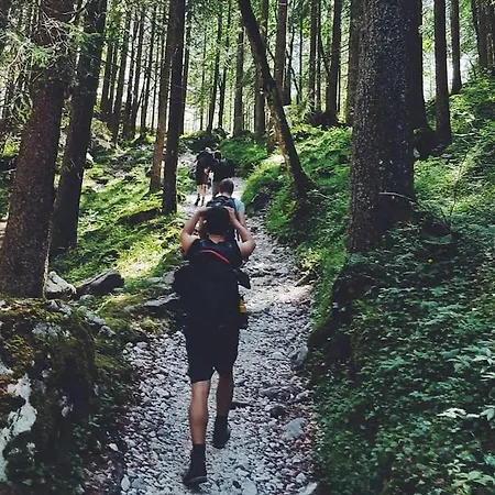 Bienenstock Appartamento